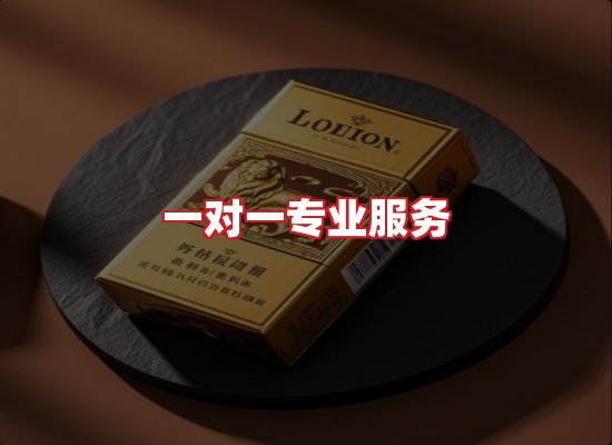 专业团队